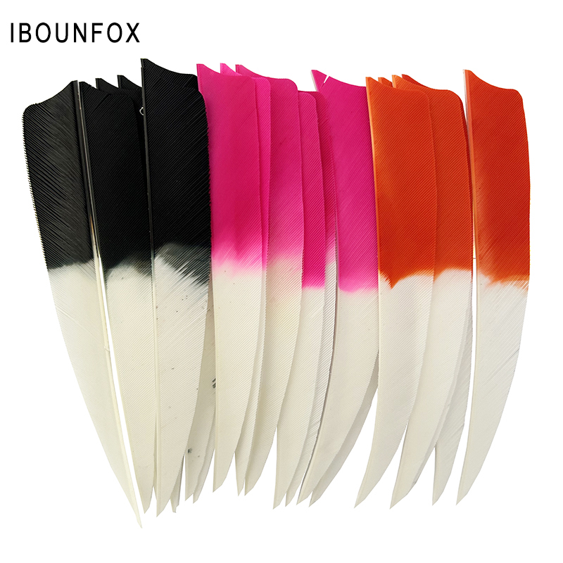 Archery Target Face - IBOUNFOX-Plumes de flèche de tir à