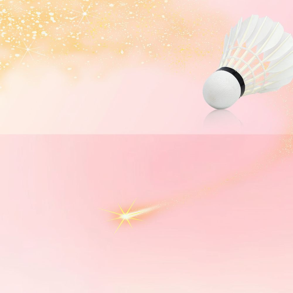 Volant de badminton en plumes  - Sports Equipment In Flight avis et prix