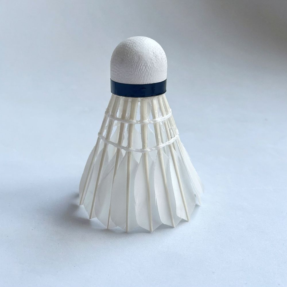 Volant de badminton en plumes  - Sports Equipment In Flight avis et prix