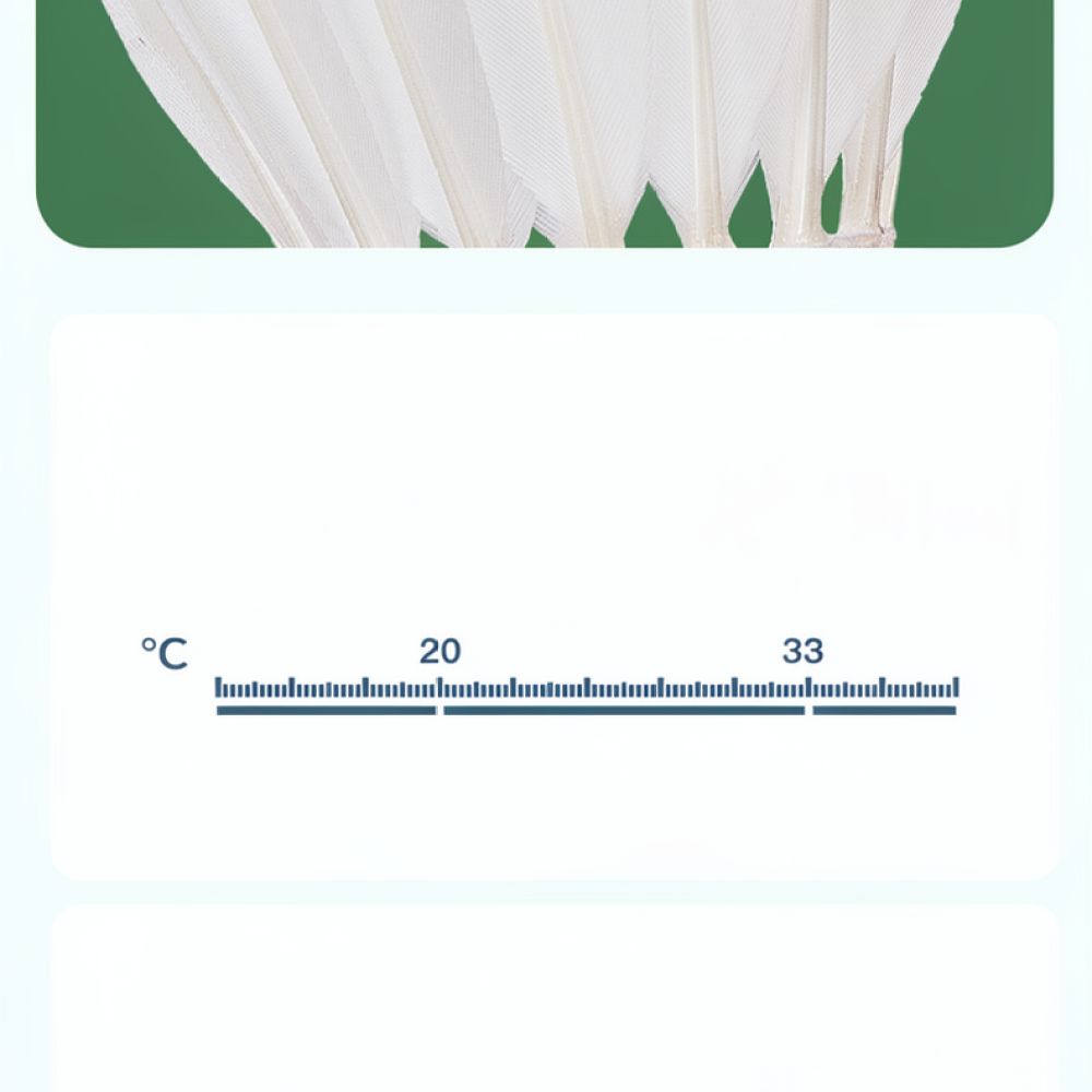 Volant de badminton en plumes  - Sports Equipment In Flight avis et prix