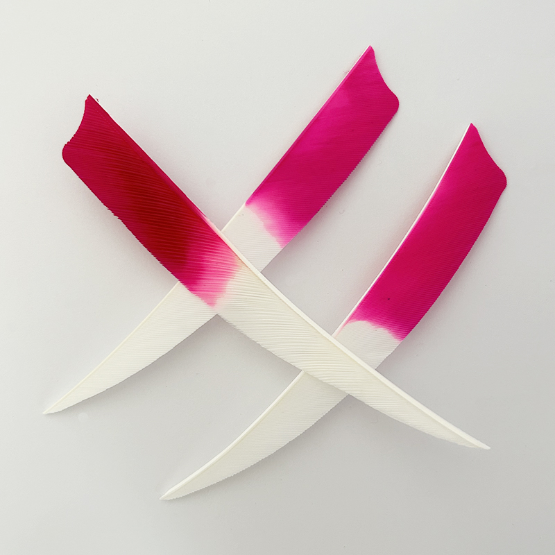 IBOUNFOX-Plumes de flèche de t - Archery Target Face avis et prix