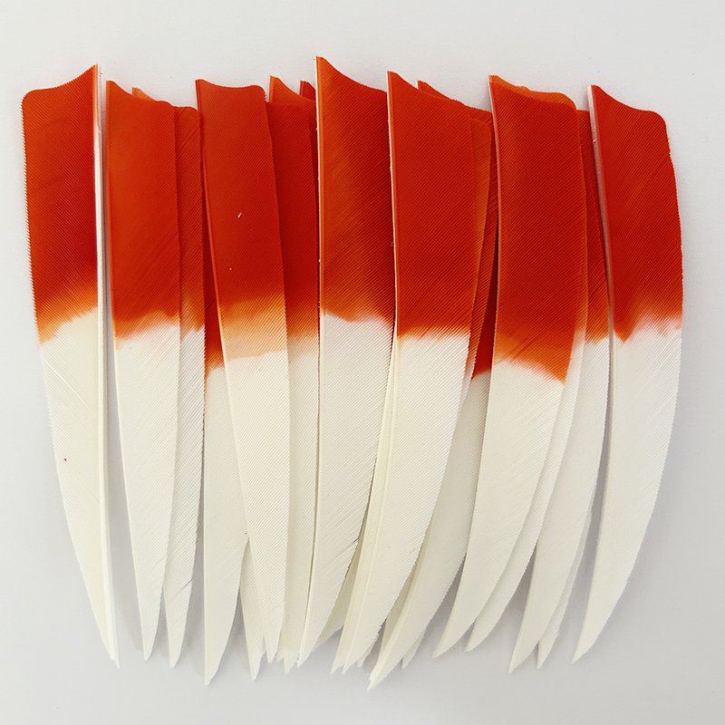IBOUNFOX-Plumes de flèche de t - Archery Target Face avis et prix