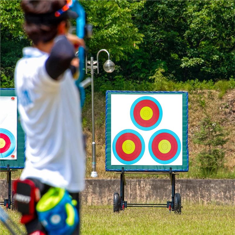 【SPECIAL】Cibles de tir à l'arc - Archery Target Face avis et prix